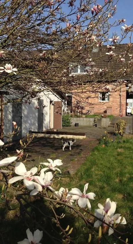 아파트 Ferienwohnung Mit Garten In Koeln